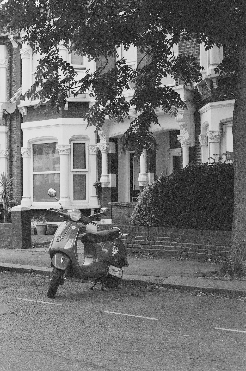 Moped under tree, London (Ilford FP4)