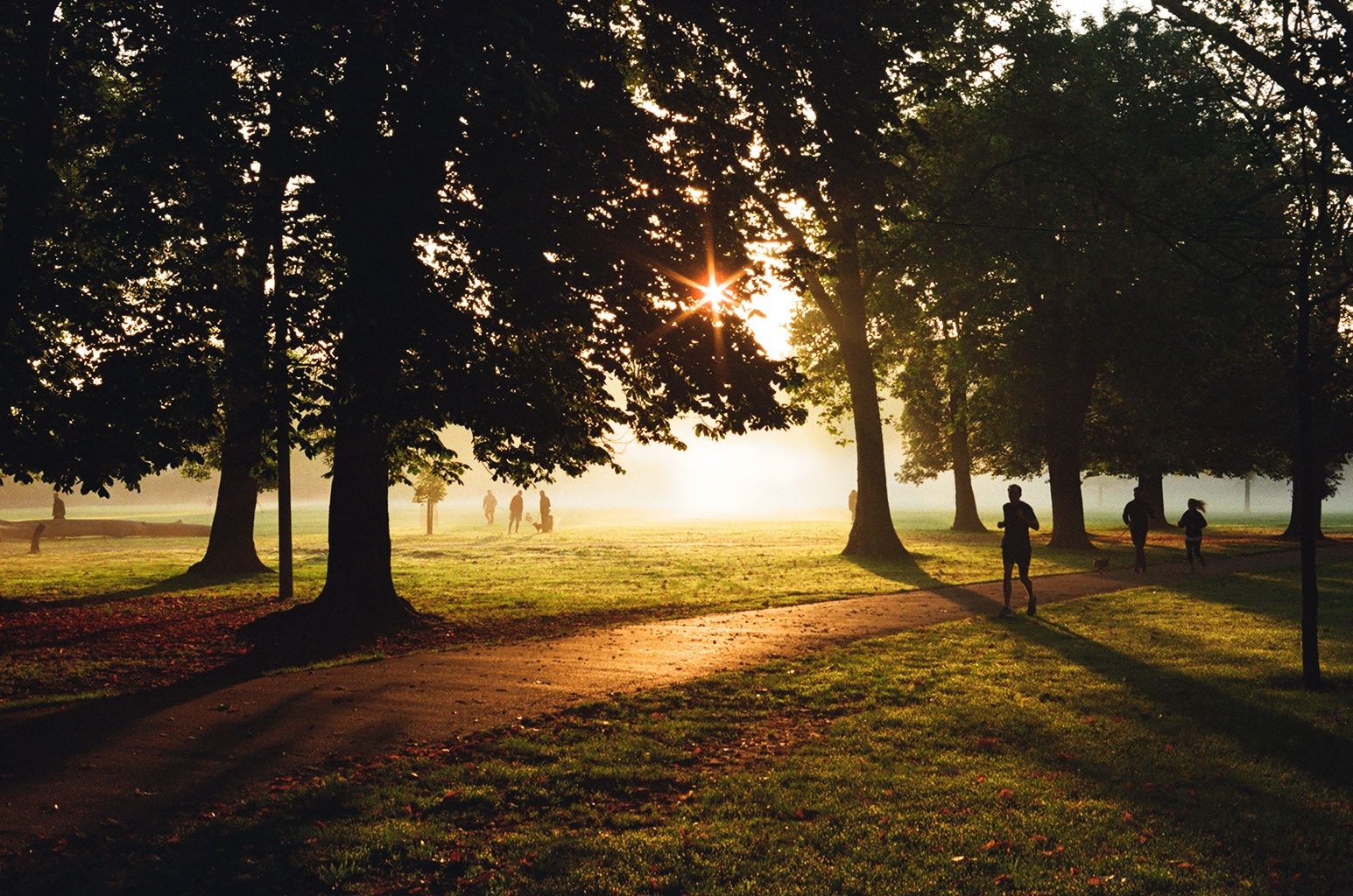 Early morning in Queen's Park, London (Kodak Ultramax 400)