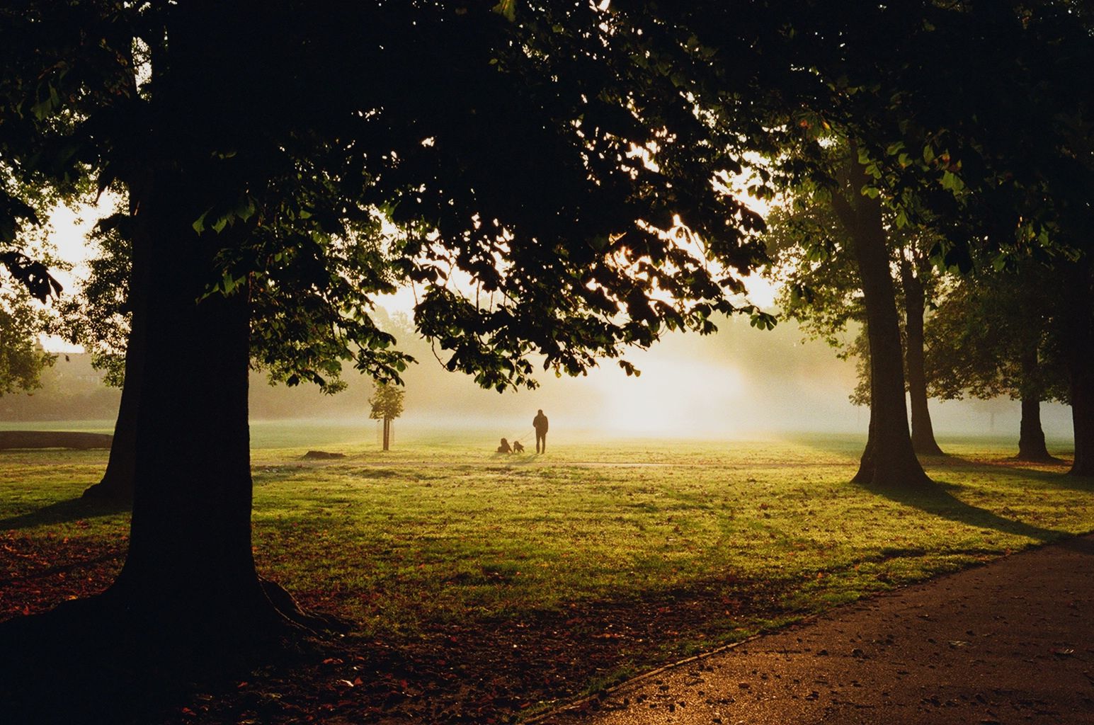 Man and dog in Queen's Park, London (Kodak Ultramax 400)